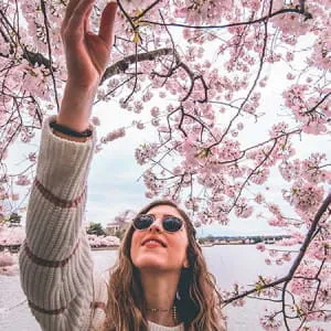 [Hiroshima ]I want to go there during the cherry blossom season! 10 recommended cherry blossom viewing spots in Hiroshima City