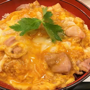 爱知县的七家最好的名古屋Cochin餐厅!