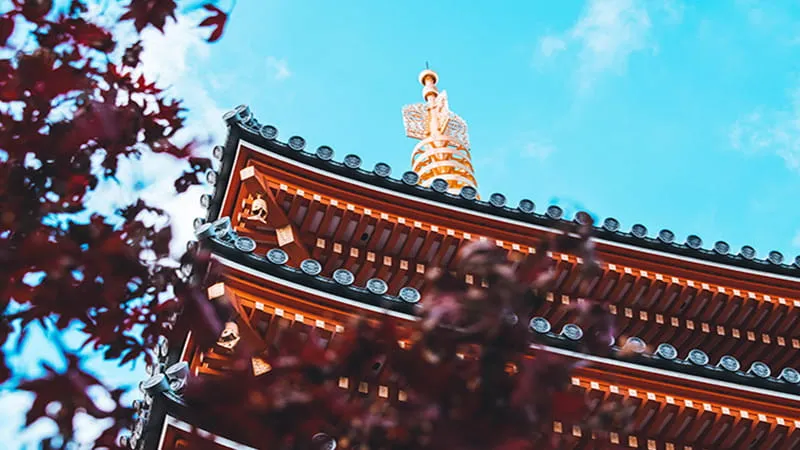 福冈 七个迷人的寺庙和神社在福冈地区!欣赏福冈的独特历史!