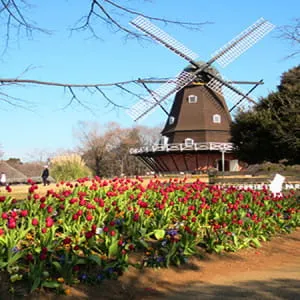 【千葉】絶対楽しめる！千葉でおすすめの博物館・美術館7選