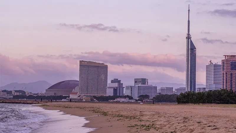 [Fukuoka ]Introduces popular suburban areas and deep-seated sightseeing spots!