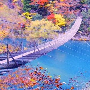 【静岡】紅葉シーズンにおすすめ！観光名所7選