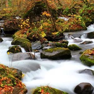 [Aomori ]Seven of the best places to visit in Aomori from spring to fall.
