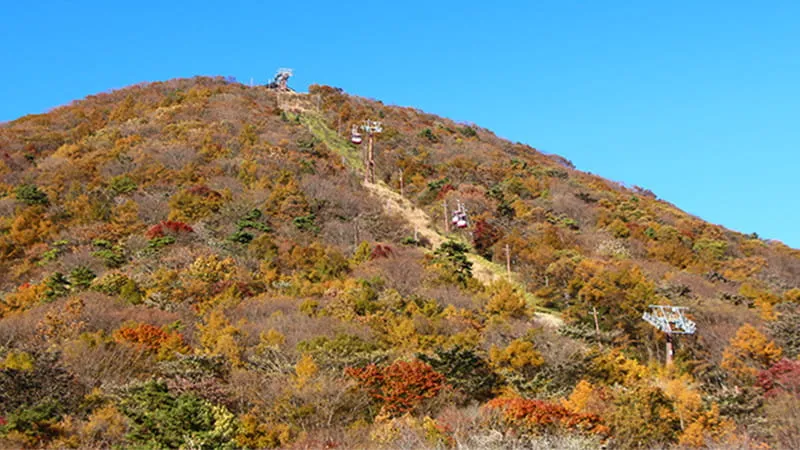 【群馬】温泉にパワースポットなど盛りだくさん！群馬でおすすめの観光名所7選
