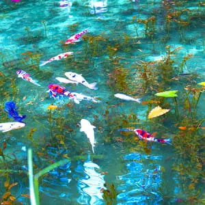 [Gifu ]Seven of the hottest recommended sightseeing spots in Gifu, a city overflowing with nature!