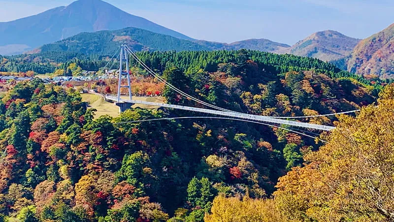 [Oita ]Japan's number one hot spring prefecture! 7 sightseeing spots you can't miss!
