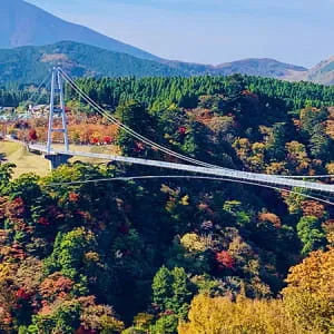 [Oita ]Japan's number one hot spring prefecture! 7 sightseeing spots you can't miss!