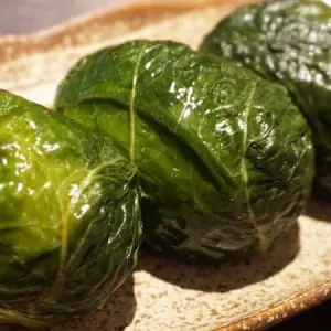 [와카야마 ] 와카야마에서 추천하는 현지 음식과 멋진 카페 4선