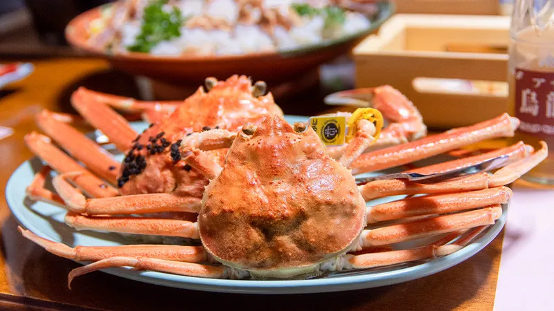 [Fukui ]Echizen Crab and more! 7 specialties and recommended restaurants in Fukui Prefecture!