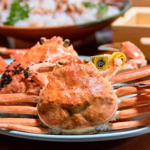 [후쿠이 ]에치젠 게 등! 후쿠이현의 명물 요리와 추천 맛집 7선!
