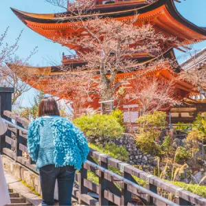 [Hiroshima ]Hiroshima travel for beginners! I will teach you a model course for sightseeing in Hiroshima!