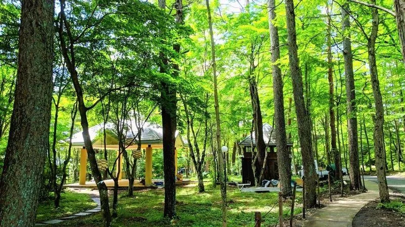 长野观光景点之旅!上高地，中町大街和金谷，长野黄金球场。