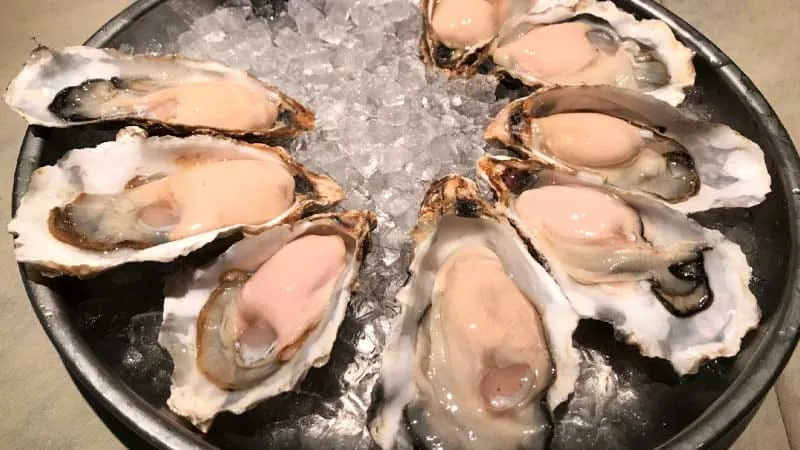 想用它来约会!在广岛地区有7家餐厅可以吃到绝对美味的牡蛎。