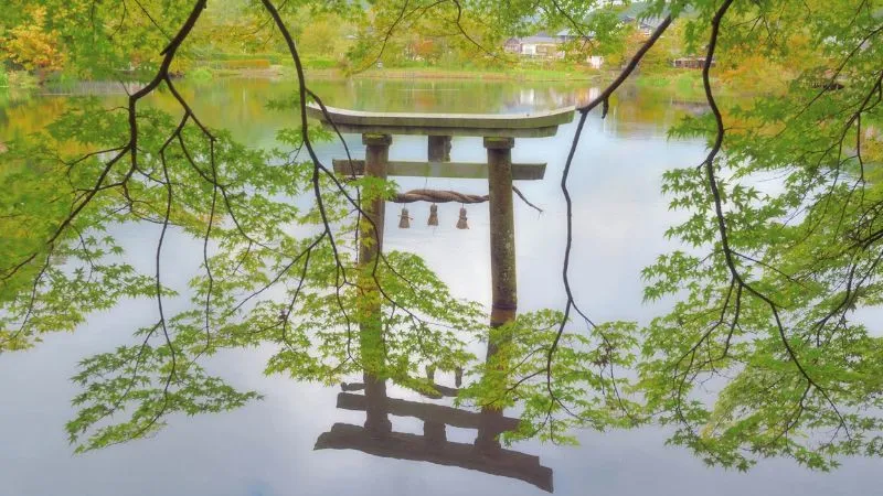 If you travel to Oita! 4 Insta-view hotels and ryokan (Japanese inns)
