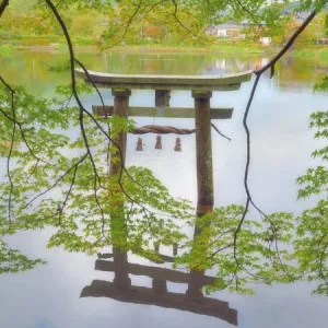 If you travel to Oita! 4 Insta-view hotels and ryokan (Japanese inns)