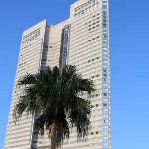【宮崎】南国リゾートの神秘・宮崎県のおすすめホテル4選