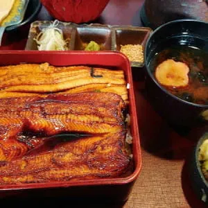 역시 맛있다! 히로시마의 아나고메시를 즐길 수 있는 가게 8선