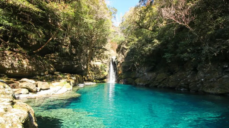 高知县7个漏洞百出的旅游景点，他们并不愿意告诉你。
