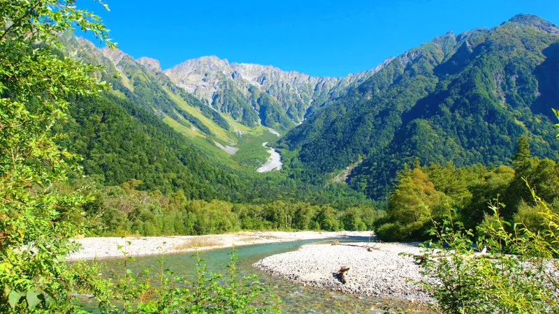 [Nagano ]80% of the prefecture is forested! 6 recommended spots to feel the breath of nature
