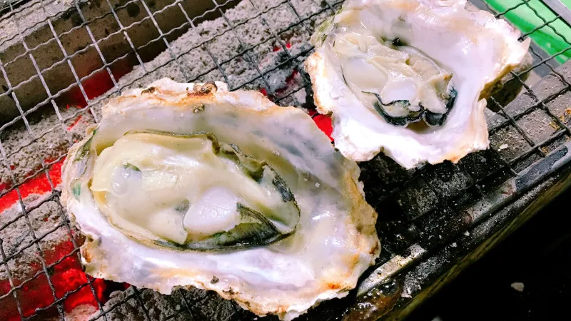 【広島】広島で食べたい牡蠣ランチ4選