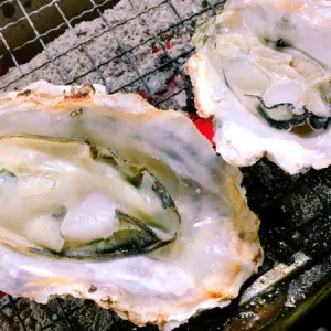 [히로시마 ]히로시마에서 먹고 싶은 굴 점심 4선