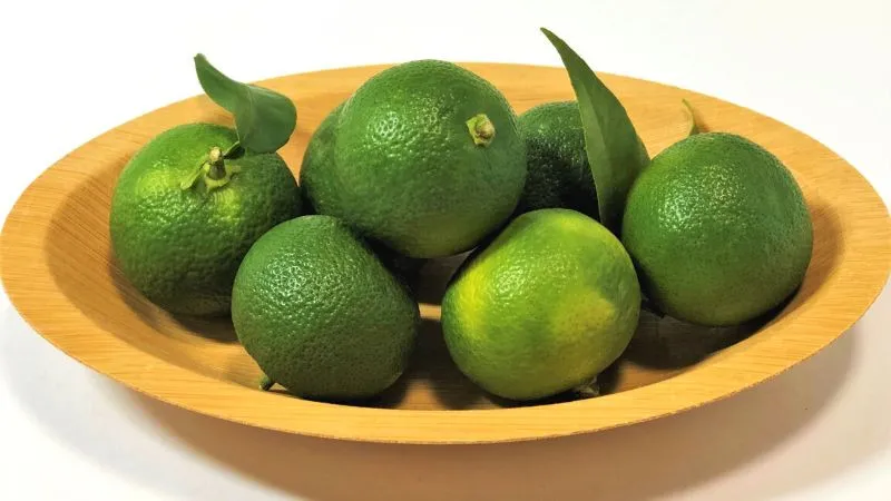 德岛 十大必买纪念品路边站有售!