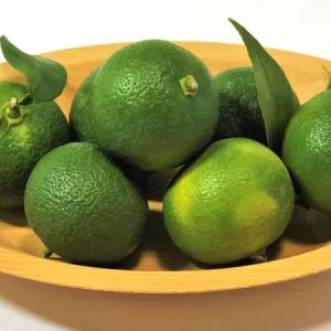 德岛 十大必买纪念品路边站有售!