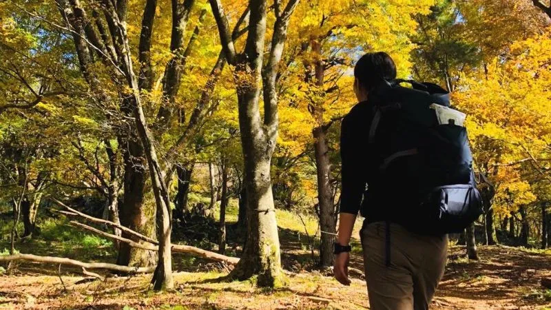 登山未経験OK！ロープウェイで行く山の絶景紅葉10選