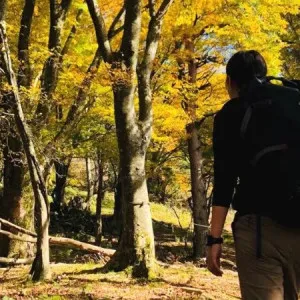 登山未経験OK！ロープウェイで行く山の絶景紅葉10選