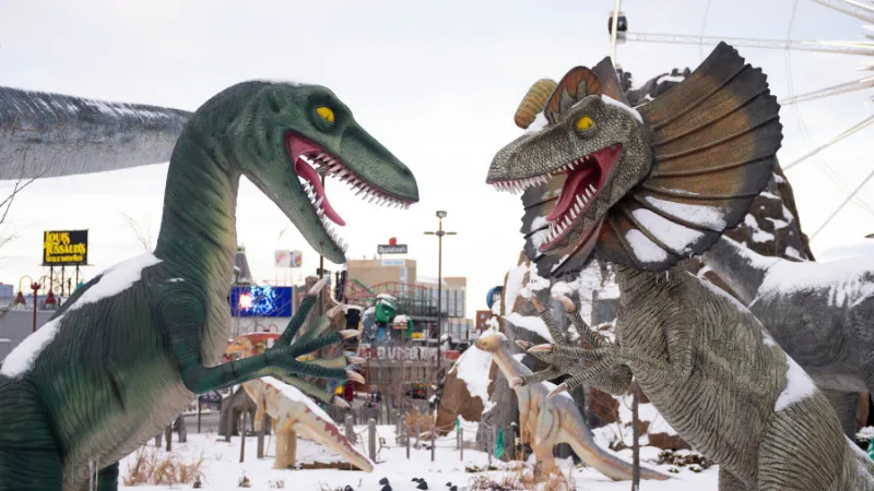 【USJ】西日本最大のテーマパーク！ユニバーサル・スタジオ・ジャパンの見どころ〜チェックすべきアクティビティ〜