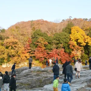 [Saitama ]Nagatoro is full of richness in every season.