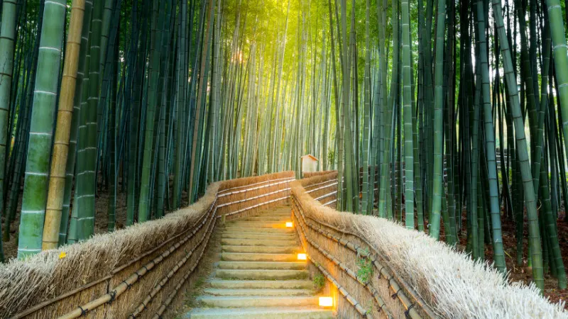 Kyoto] 3 hotels in the "Arashiyama" area with a uniquely Japanese atmosphere, where you can stay for less than 10,000 yen