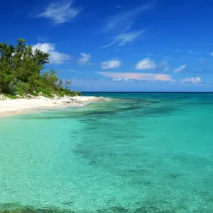 [2024 ]65 Sightseeing Spots in Okinawa! Carefully selected from the best places to the worst places!