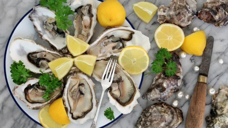 [Hiroshima]Eat your fill of oysters! 8 recommended oyster houses you must visit!