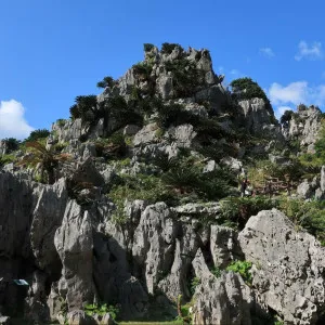 [Okinawa ]full of natural attractions "yanbaru "recommended spots