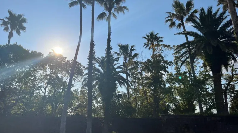 【千叶县】女足在馆山的客场之旅!夏天来了!