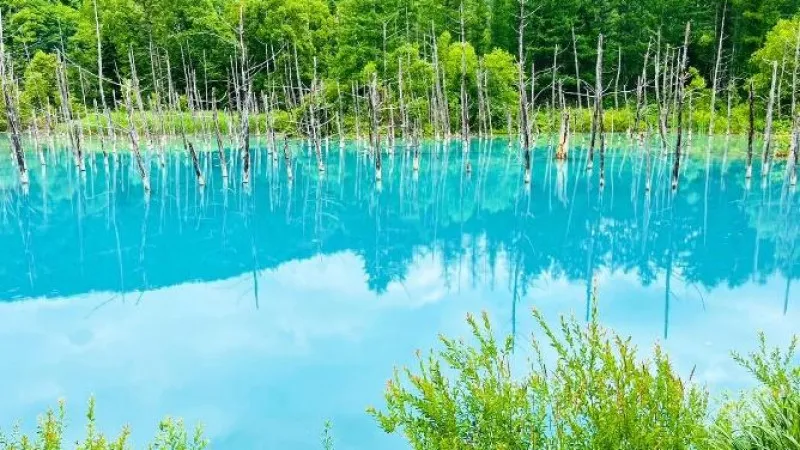 A selection of recommended places to visit during summer vacation!