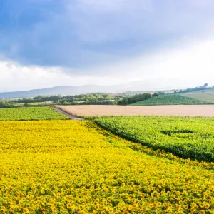 【北海道】夏の家族旅行で行きたい！おすすめのスポット10選