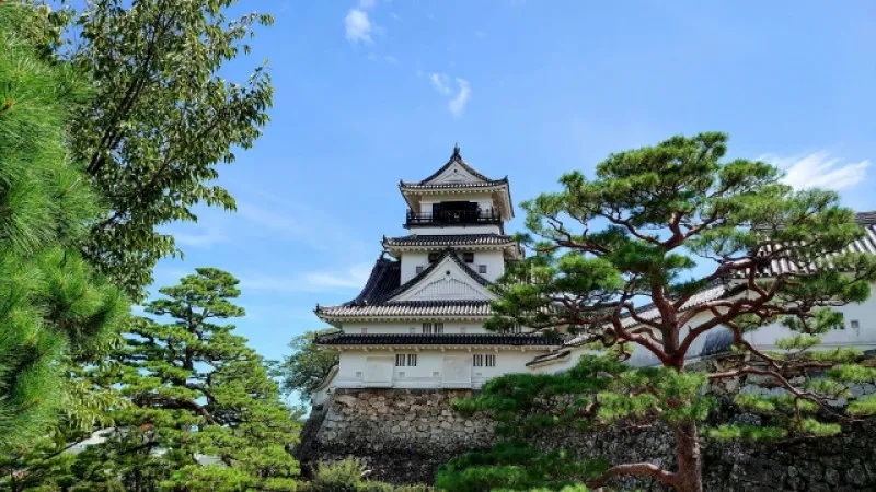 고치의 매력에 푹 빠져보자! 고치현의 일본 유산・중요문화재 추천 명소 7곳