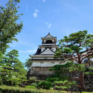 高知の魅力を深掘り！高知県の日本遺産・重要文化財オススメ7スポット