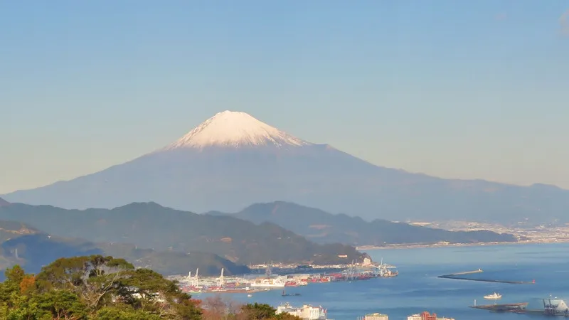 为想体验不寻常之旅的人准备的！静冈县的奇特景点之旅