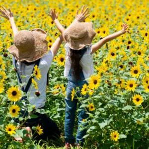【関東】 親子そろって笑顔になれる！ 関東エリアの魅力的なおでかけスポット6選