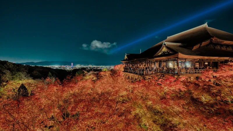 [Kyoto ]Selected by Guide! 10 must-visit spots for autumn foliage