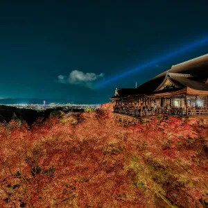 【京都】ガイド厳選！絶対行くべき紅葉スポット10選