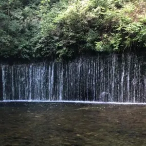 【軽井沢】必ず訪れたい！超定番おすすめ観光スポット