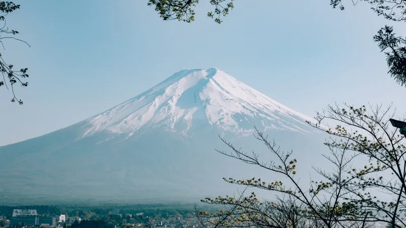 【静冈县】动感而美丽！ 介绍静冈县迷人的自然和景观！