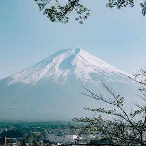 [Shizuoka ]Dynamic and beautiful! Here are some of the fascinating nature and scenery of Shizuoka Prefecture!