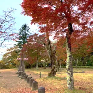 【長野と群馬の県境】軽井沢町の碓氷峠について