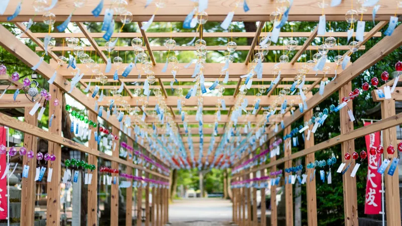 【新潟】推荐 6 条神社和寺庙之旅，以获得治愈和力量