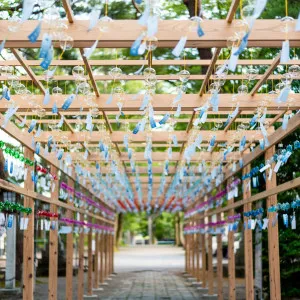 【新潟】癒しとパワーをもらえるオススメの神社仏閣巡り6選